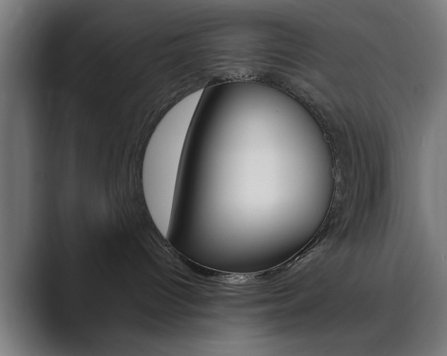 X0000089930096200706290804