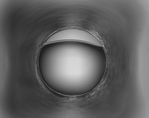 X0000089930097200706290803