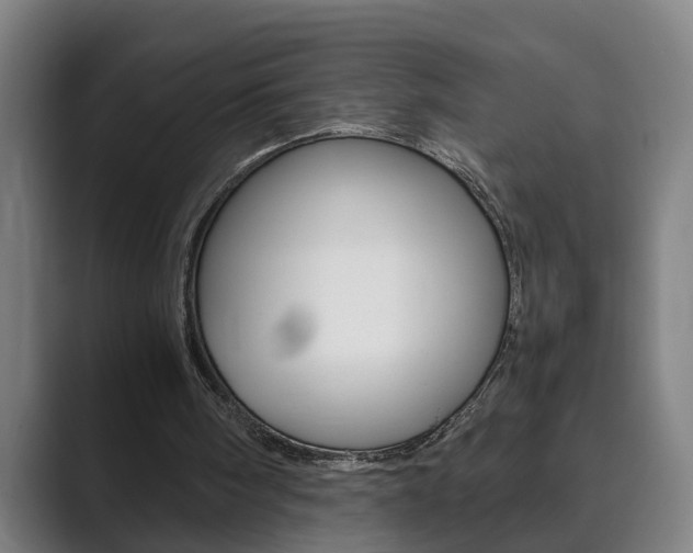 X0000089930098200706290803