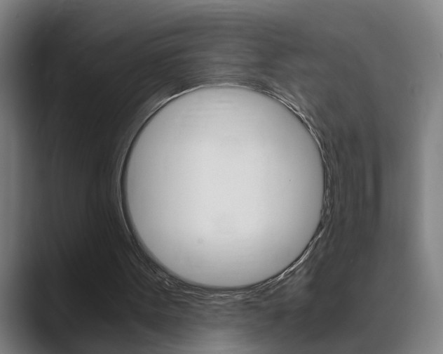 X0000089930099200706290803