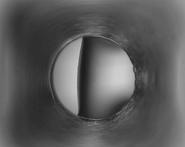 X0000089930100200706290803