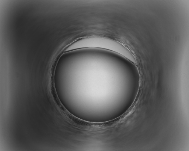 X0000089930101200706290803