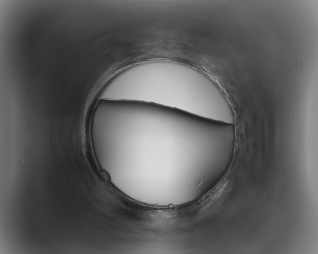 X0000089930102200706290803