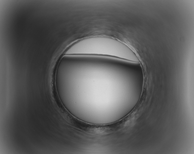 X0000089930103200706290803