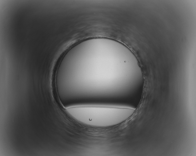 X0000089930104200706290803