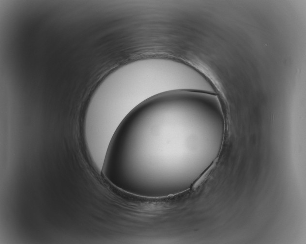 X0000089930105200706290803