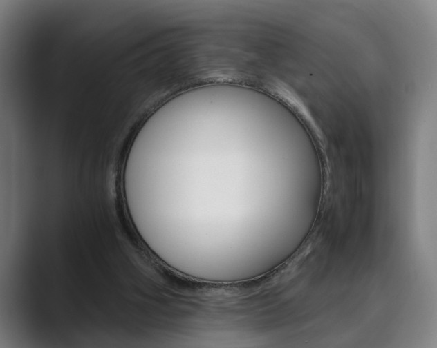 X0000089930106200706290803