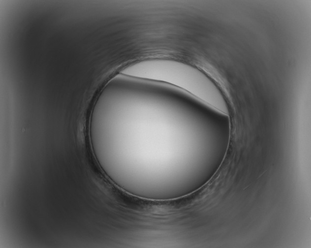 X0000089930107200706290803