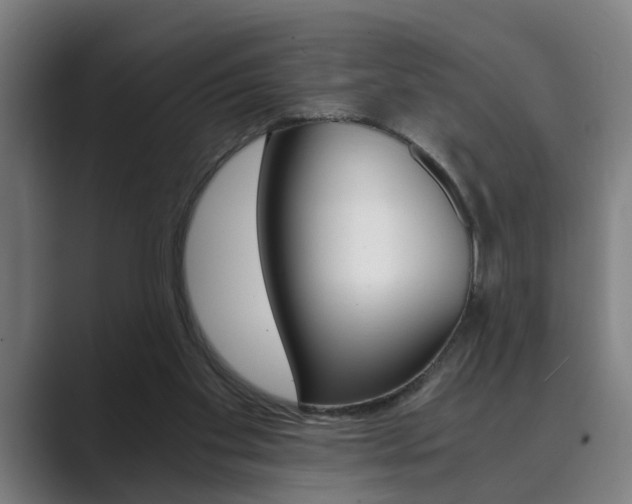 X0000089930109200706290803