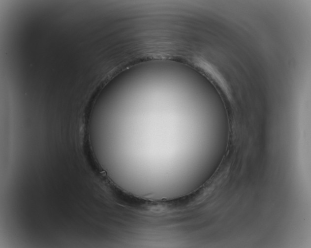 X0000089930113200706290803