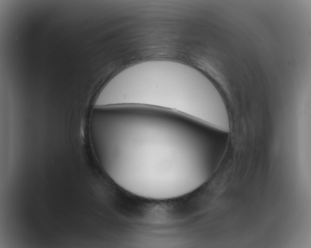 X0000089930115200706290803