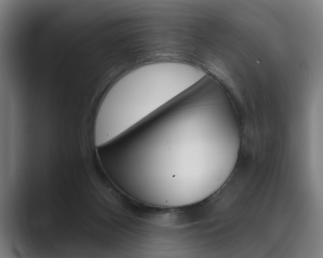 X0000089930116200706290803