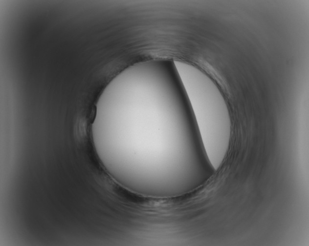 X0000089930117200706290803