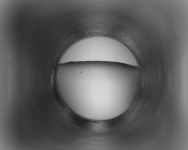 X0000089930118200706290803