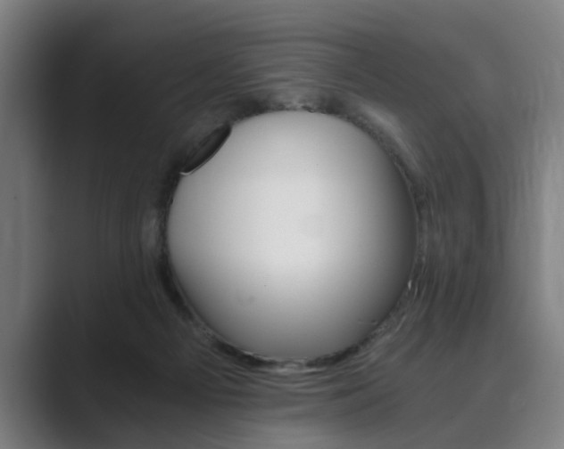 X0000089930121200706290803