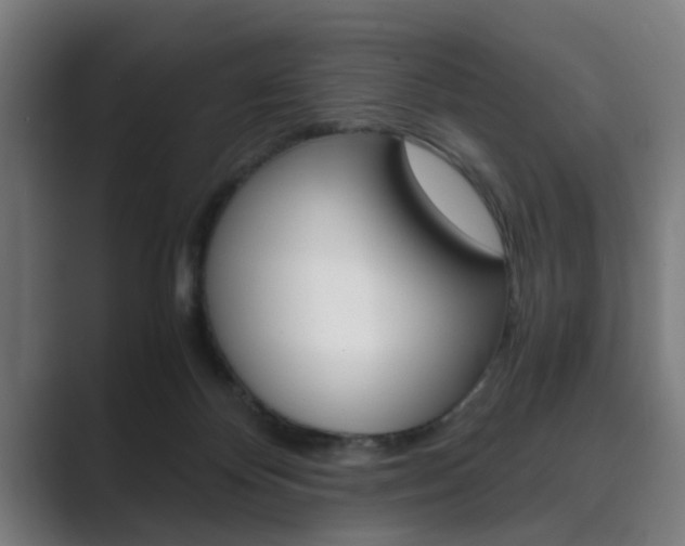 X0000089930124200706290803