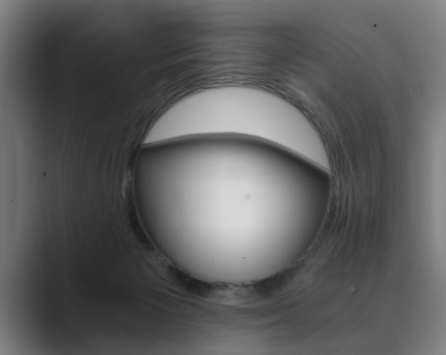 X0000089930125200706290803