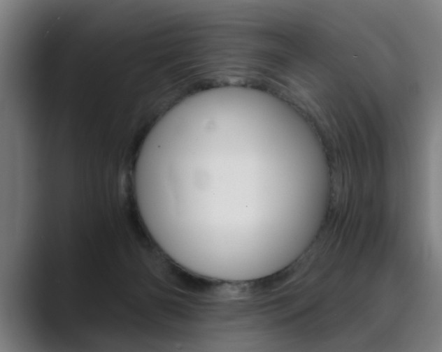 X0000089930126200706290803