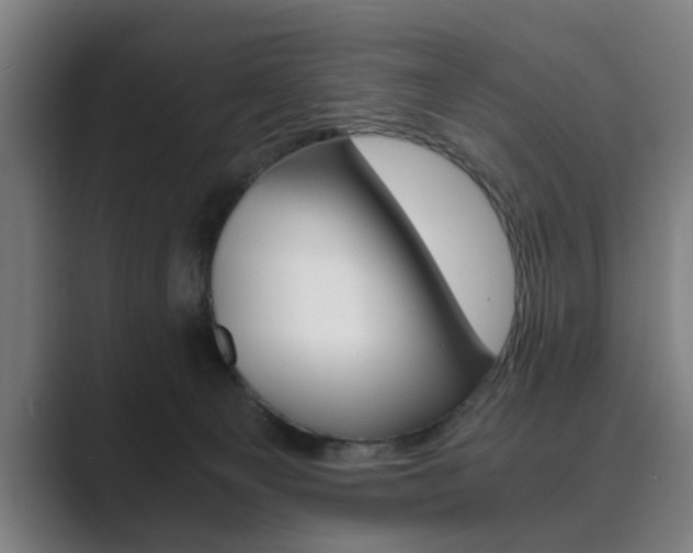 X0000089930129200706290803
