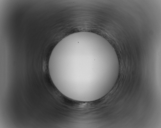 X0000089930130200706290803