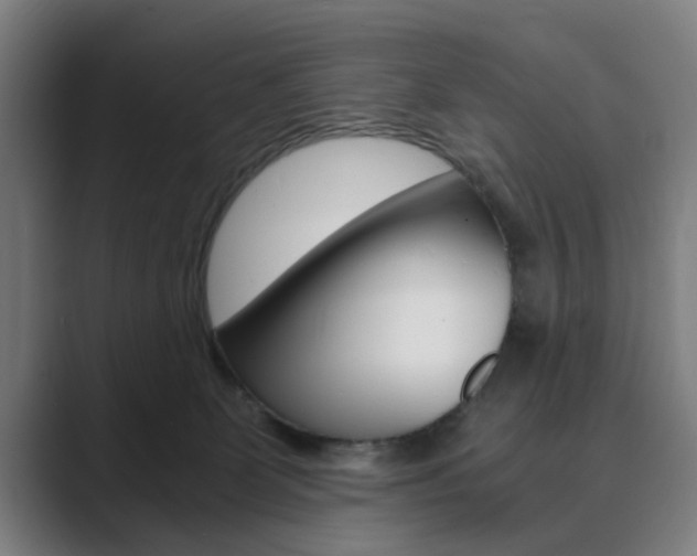 X0000089930131200706290803