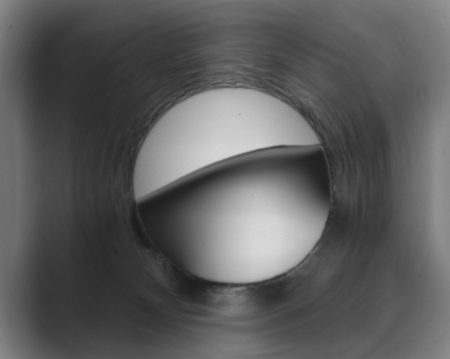 X0000089930132200706290803