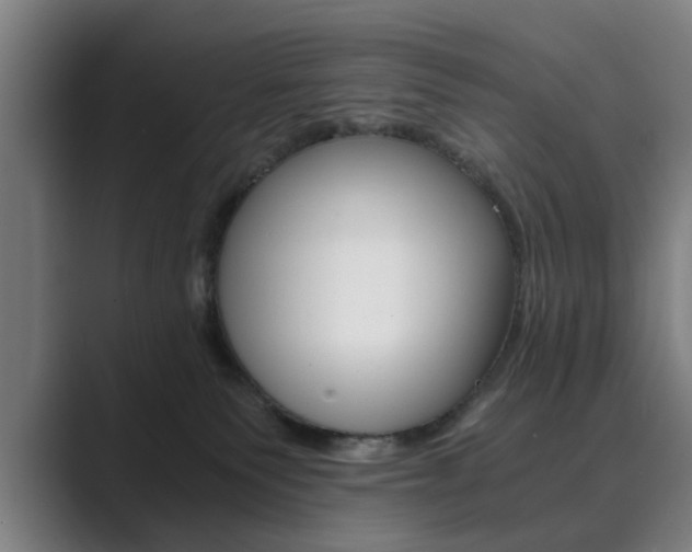 X0000089930135200706290803