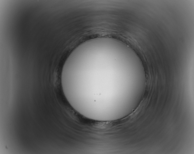 X0000089930136200706290803