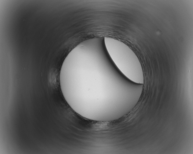 X0000089930138200706290803