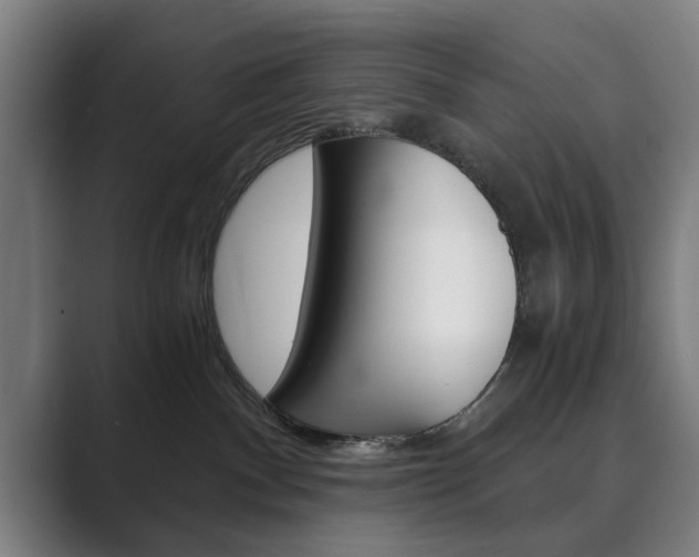 X0000089930140200706290803