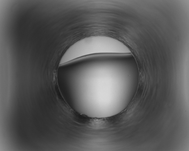 X0000089930141200706290803