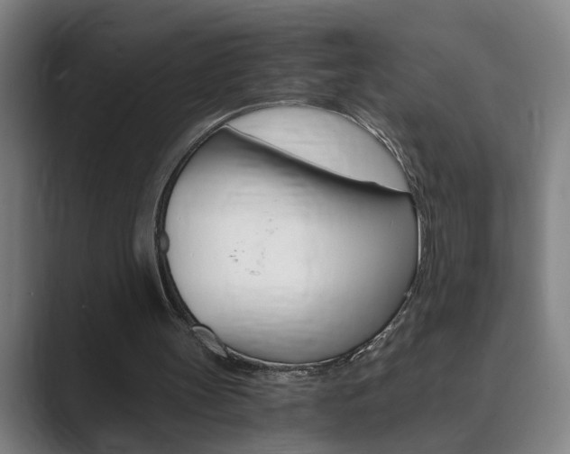 X0000089930147200706290802