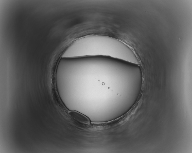 X0000089930149200706290802