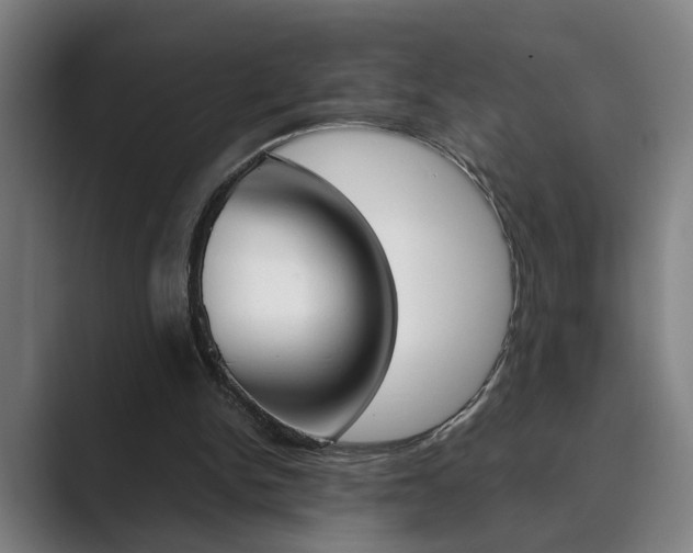 X0000089930150200706290802