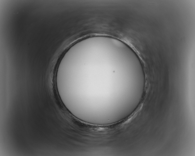 X0000089930151200706290802