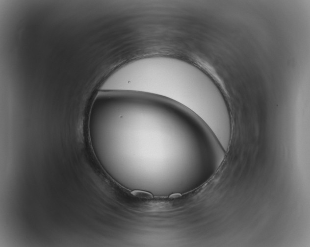X0000089930154200706290802
