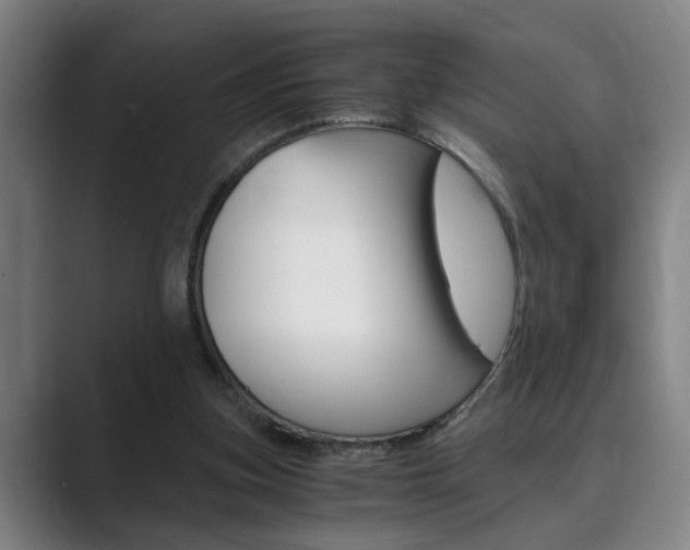 X0000089930155200706290802