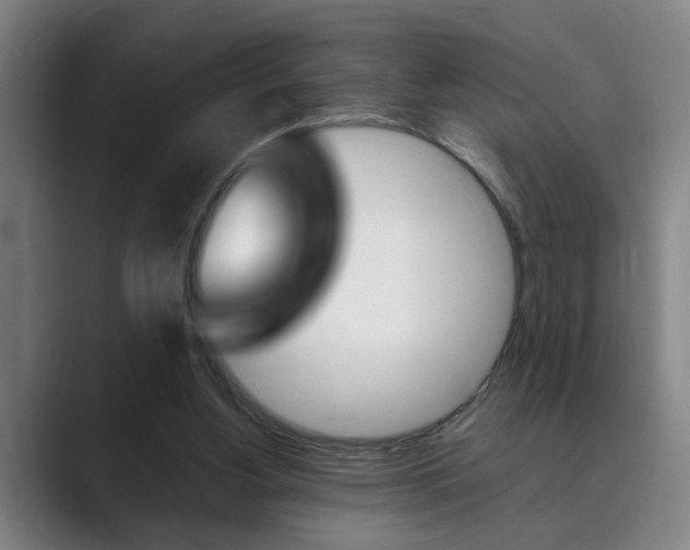 X0000089930156200706290802