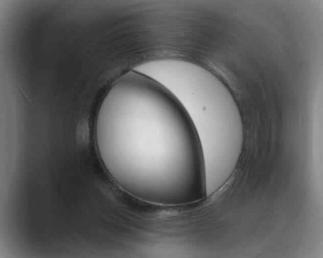 X0000089930158200706290802