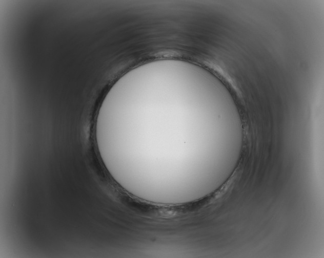 X0000089930159200706290802