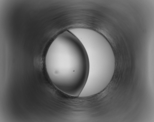 X0000089930160200706290802