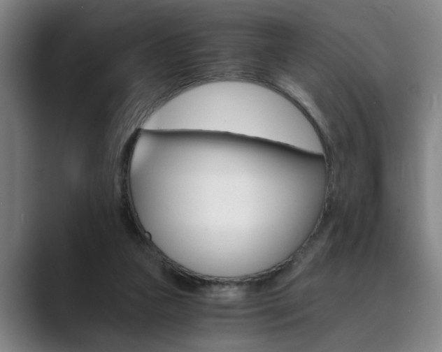 X0000089930161200706290802