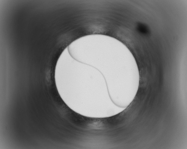 X0000089930162200706290802