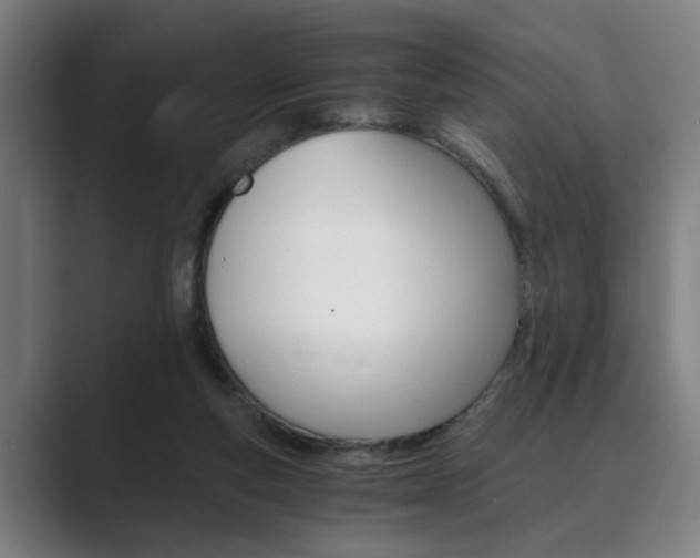 X0000089930163200706290802