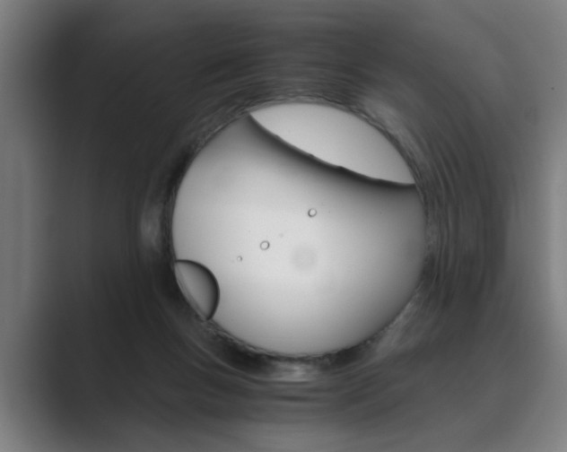 X0000089930167200706290802