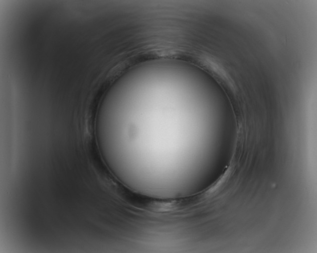 X0000089930170200706290802
