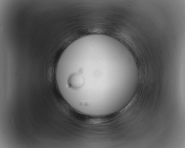 X0000089930171200706290802