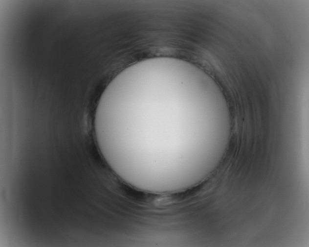 X0000089930173200706290802