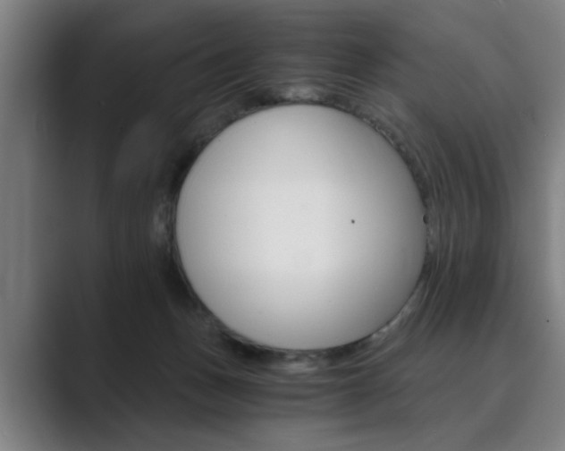 X0000089930175200706290803
