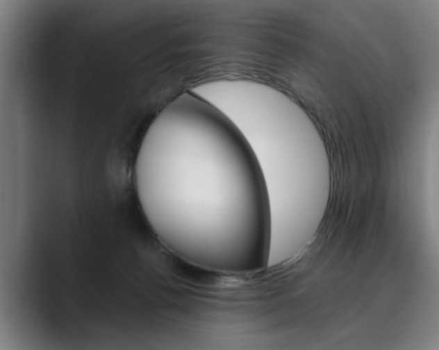 X0000089930176200706290803